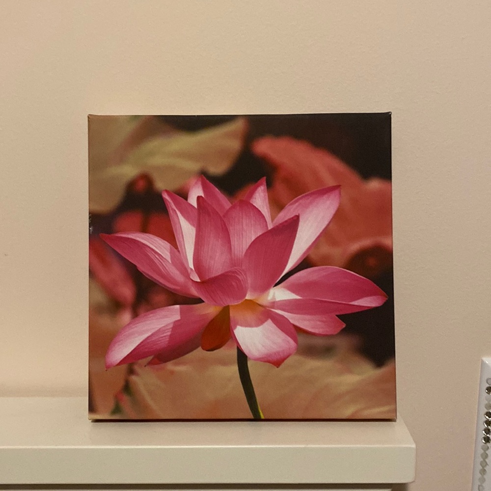 TWO pink flower tableaus